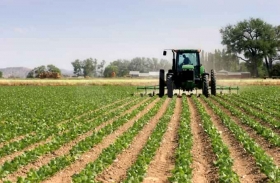 Approvato il decreto sul rilancio dei settori agricoli in crisi